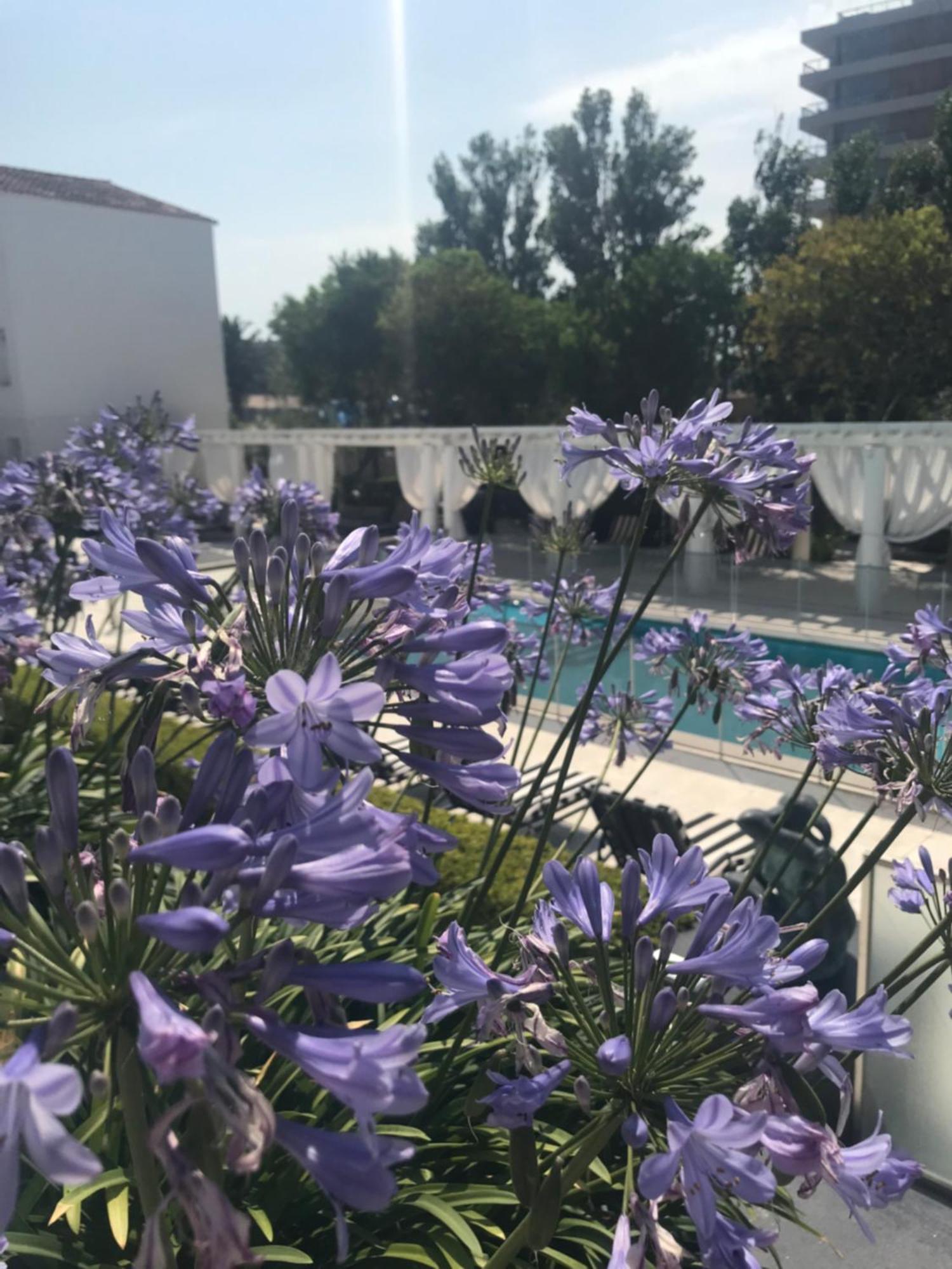 Playas Art Hotel Пинамар Екстериор снимка